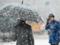 На Закарпатье снегопад обесточил поселки и перекрыты дороги