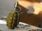 In the Lugansk region a grenade was hit by a woman