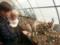 Житель Черкас відкрив ферму з вирощування міні-кактусів