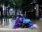 Жертвами тайфуна Дэмри во Вьетнаме стали более 40 человек