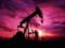 Oil Brent is trading above 63 dollars per barrel