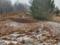 Роспотребнадзор отобрал пробы почвы в селе Невьянского района, которое завалили куриным пометом
