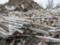 В Україні накопичилося п ять мільярдів тонн небезпечних відходів
