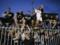 Partizan s fans are accused of racism for shouting  Serbia, Serbia 