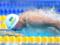 Плавание: Говоров принес Украине третью медаль чемпионата Европы