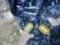 In the Donetsk region, the police found a cache of weapons