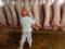ЄС виставив Росії мільярдний рахунок за заборону на ввезення свинини