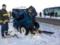 На Запорожье автобус столкнулся с легковушкой, погибли два человека
