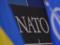 Vice Prime Minister of Ukraine told about the status of the post-graduate student of NATO