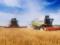 Two crops. The expert told about new realities in the agricultural sector of Ukraine