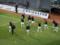 Immediately 7 players will not help  Zare  in the battle with  Dynamo 