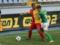 Carpathians in a match with three eliminations beat Zirka