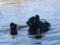 У Києві виявили тіла двох чоловіків, які перекинулися на човні