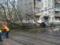 Москва подсчитала потери от урагана