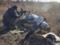 Ворог на Донбасі посилив обстріл і завдав шкоди силам АТО
