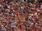 Fans of Roma attacked fans of Liverpool with armature - media