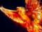 Bird Phoenix - a symbol of eternal life and perfection