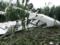 A lightweight aircraft fell under Sumy. Pilot's death