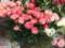 У «Кольцово» знайшли 420 заражених зрізів квітів. Цих троянд і хризантем більше немає