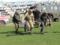 The Crimean, Svetlodarsk, Maryinka, Novomikhailovka, Vodyanoye. Three defenders are injured