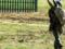 In the Kirovohrad region, a traitor was detained from the APU