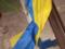 Drunk guest worker in the Donbas ripped off the flag of Ukraine from the prosecutor s office