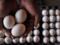 Ukraine sharply increased the export of eggs