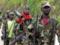 В Нигерии 30 военнослужащих погибли при нападении боевиков  Боко Харам 