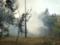 Поліцейські Харківщини встановлюють обставини пожежі в лісовому масиві