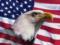 How the US will protect itself from bioterrorism: Trump presented a strategy