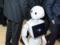 Впервые в британском парламенте выступит робот