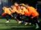 Bookmakers believe that Shakhtar will not be able to beat Manchester City
