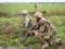 Штаб: за истекшие сутки два бойца получили ранения на Донбассе