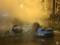 Тройное ДТП в Харькове: В результате столкновения загорелся автомобиль