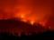 The family of Ukrainians from California fell into a fire trap on the highway
