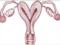 Two-horned uterus: what is it