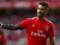 Ferreira wants to leave Benfica - media