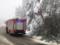 Более 40 населенных пунктов на Закарпатье обесточены из-за сильного снегопада