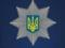Полиция помешала разрисовать краской Консульство России. Официоз