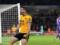 Вулверхэмптон — Ньюкасл 1:1 Видео голов и обзор матча