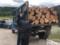 Полиция Харьковщины продолжает борьбу с  черными лесорубами 