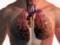 Врачи назвали скрытые симптомы рака лёгких