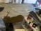 Олень устроил погром в парикмахерской в Нью-Йорке