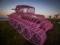 На пляже Сиднея появились  скелеты  розовых танков