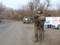 Гвардейцы и полиция в Золотом-4 оберегают покой мирных жителей
