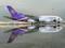 Самолет Thai Airways совершил вынужденную посадку с двумя мертвыми пассажирами на борту