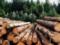 С 1 февраля в Украине заработает централизованный учет древесины