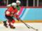 Украинские хоккеисты оформили медальный дубль на зимних Юношеских Олимпийских Играх
