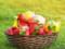 Употребление фруктозы подталкивает человека к дополнительному приему пищи