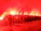 Файер-шоу в Мадриде. Фанаты  Атлетико  огненным коридором встретили команду перед матчем с  Ливерпулем 